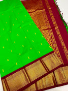 Parrot Green
